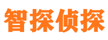 余干市调查公司